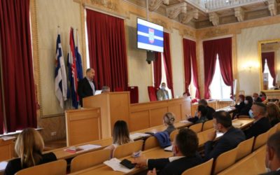 Samo zajedničkim pristupom može se riješiti problem komaraca na području cijele županije