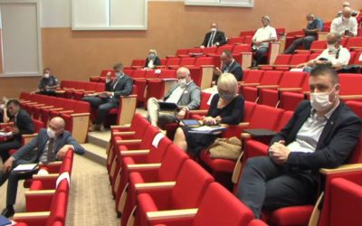 Gradska blagajna u plusu unatoč pandemiji, razjašnjene teme komaraca i rasvjete