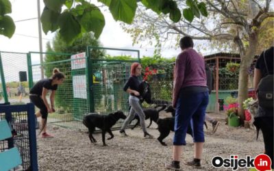 [FOTOGALERIJA] Povratak otpisanima