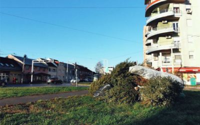 Odvoz božićnih drvaca u Osijeku