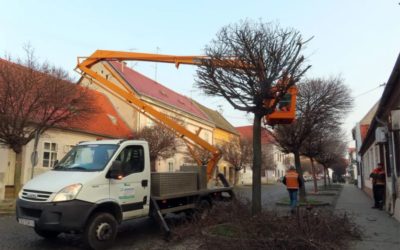 Očuvanje stabala u Tvrđi prilikom izvođenja radova na rekonstrukciji i dogradnji komunalne infrastrukture Tvrđe