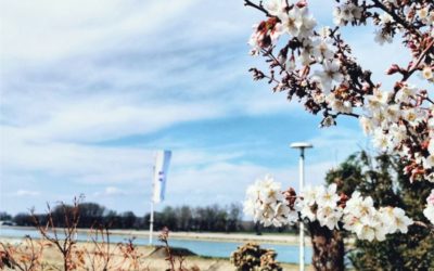 Danas obilježavamo Dan planeta Zemlje