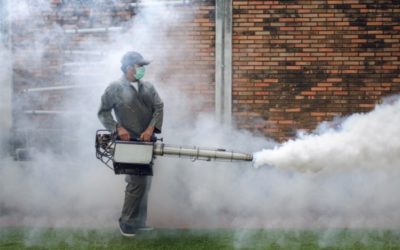 Grad Osijek dosad proveo 11 larvicidnih tretmana suzbijanja komaraca