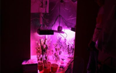 Policija pronašla improvizirani laboratorij i ručnu bombu