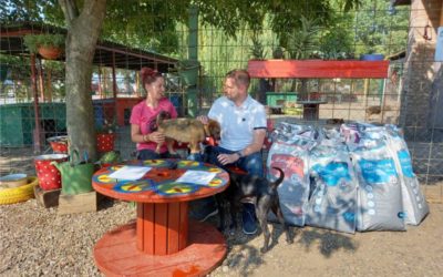 1,5 milijuna kuna za napuštene pse s područja Osijeka