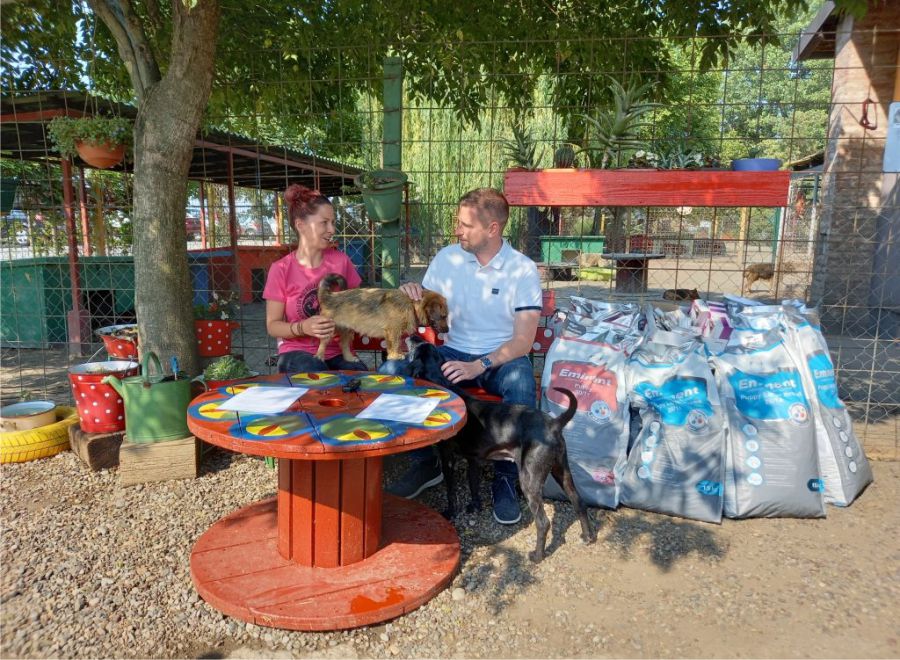 1,5 milijuna kuna za napuštene pse s područja Osijeka