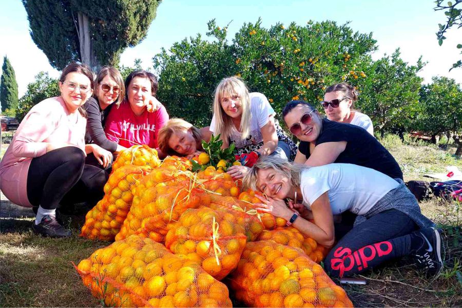 Znaš li priču o Putujućim lubenicama i mandarinama iz zlatne doline?