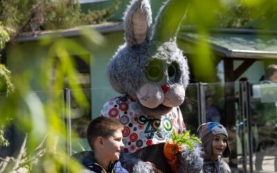 Uskrsni ponedjeljak na lijevoj obali Drave