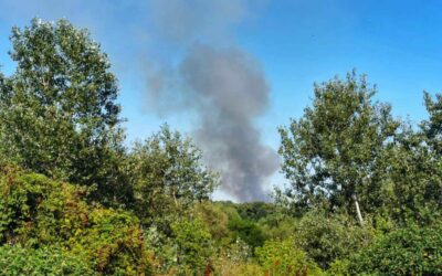 Jučer je u Kopačkom ritu izbio požar