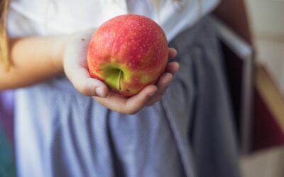 Osigurano gotovo 9 milijuna kuna za besplatan školski obrok i pomoćnike u nastavi