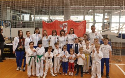 Taekwondo klub Osijek odličan na turniru u Slavonskom Brodu