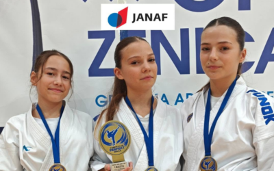 Uspješan nastup Karate kluba Osijek u Zenici: Tri medalje i vrijedno iskustvo za nastavak rada